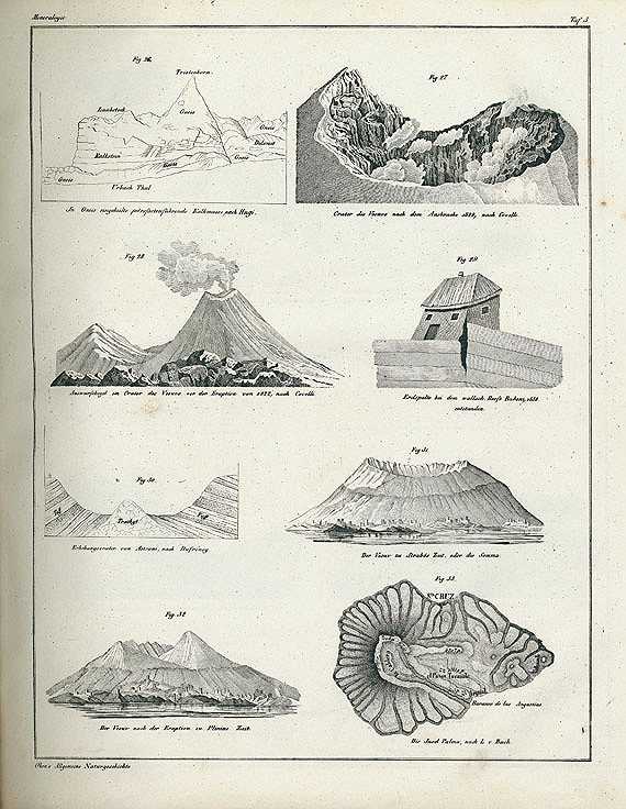 Abbildungen Naturgeschichte. 1843