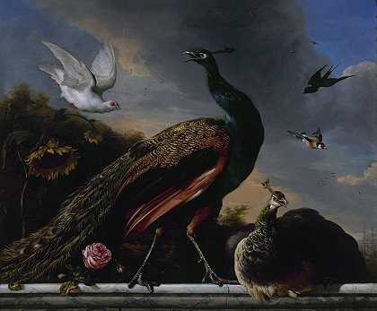 《孔雀，雄性和雌性》作者：Melchior d’Hondeceter