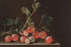 阿德里安·库特的《桌子上的鹅莓》