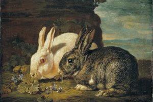 《两只兔子》作者：David de Coninck