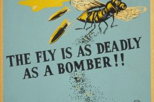 罗伯特·穆奇利（Robert Muchley）的《苍蝇和轰炸机一样致命！》