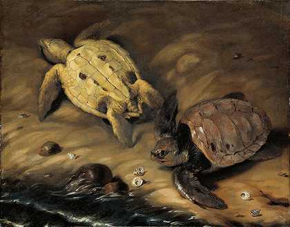 《两只乌龟》作者：David Klöcker Ehrenstrahl