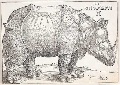 阿尔布雷希特·杜勒的《犀牛》