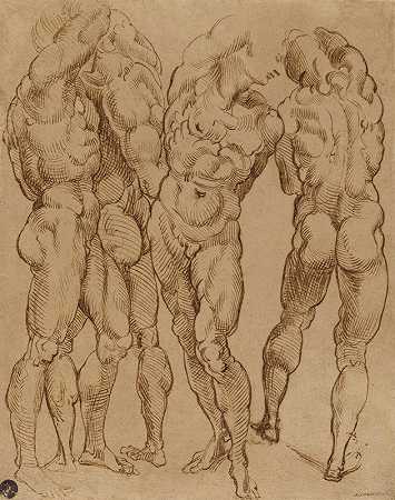 Bartolomeo Passarotti的裸体研究