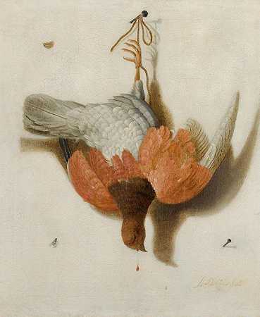 雅各布斯·比尔提乌斯（Jacobus Biltius）的《一只Trompe L’œil与挂在钉子上的柳树Ptarmigan》
