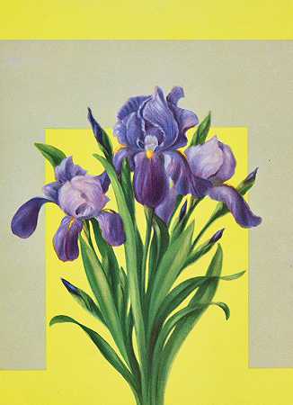 拉斐特·F·卡吉尔的《鸢尾花》