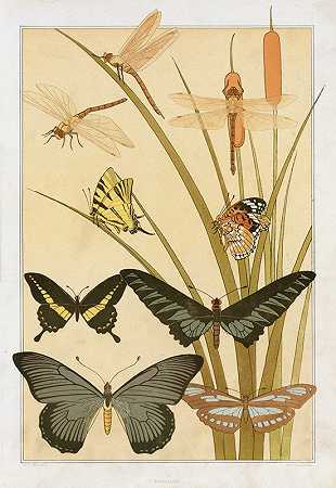 莫里斯·皮拉德·弗内伊尔的《Papillons》