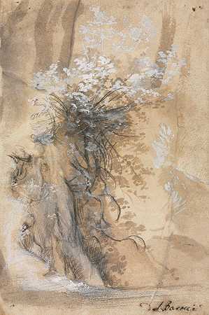 费德里科·巴罗奇（Federico Barocci）的《被侵蚀的银行上方的花丛》
