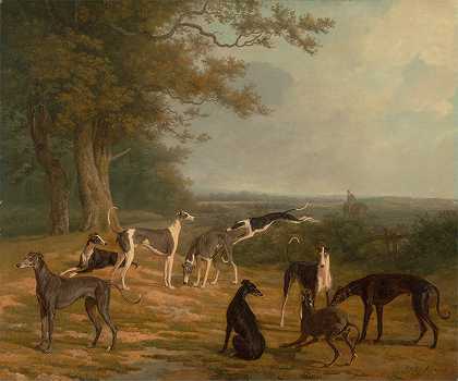 雅克·洛朗·阿加塞的《风景中的九只灰狗》