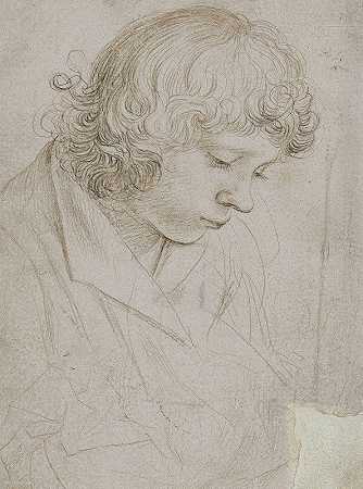 “老人汉斯·霍尔贝因（Hans Holbein The Elder）拍摄的一个年轻人俯视的胸像