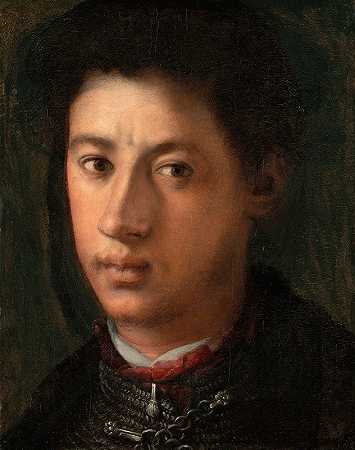“亚历山德罗·德·美第奇（Alessandro de‘Medici），作者：庞托莫（Jacopo Carucci）