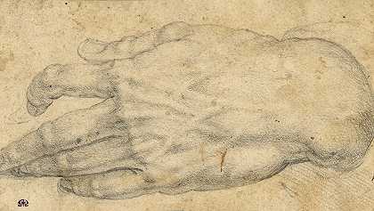 Agnolo Bronzino的《男人右手的研究》
