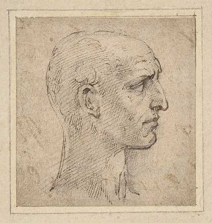 帕尔米吉亚尼诺的《从侧面看右边的男人的头像》