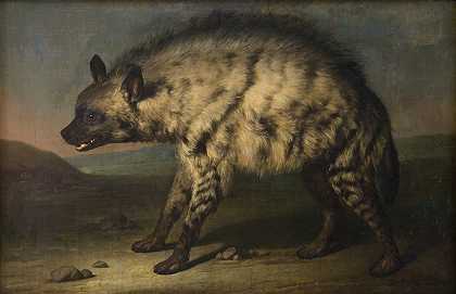 《弗雷德里克斯堡城堡动物园里的鬣狗》作者：延斯·朱尔