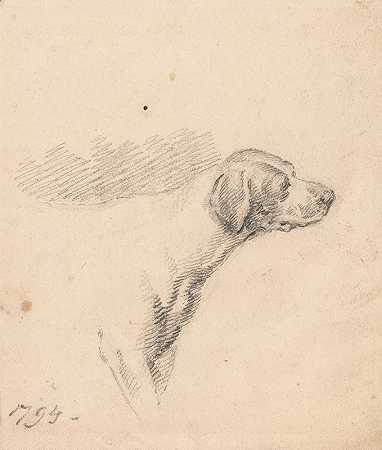乔治·莫兰德的《猎犬研究：头和肩，面向右侧》
