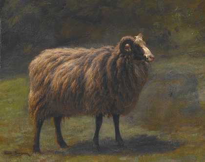“罗莎·博涅的公羊