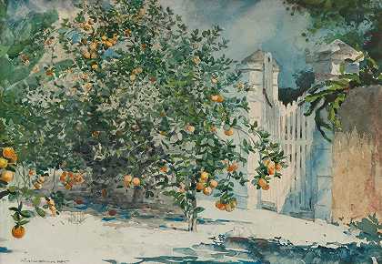 温斯洛·霍默的《橘子树与大门》