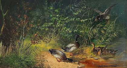 朱利叶斯·舍勒的《池塘里的鸭子》
