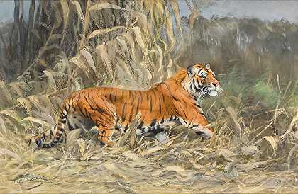 Wilhelm Kuhnert的《丛林（老虎）》