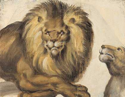 Christoph Amberger的《雄狮的前身和雌狮的头部》