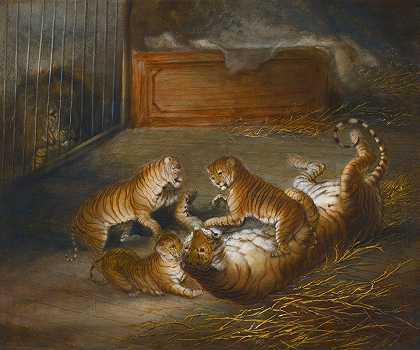理查德·巴雷特·戴维斯（Richard Barrett Davis）的《皇家动物园里一只狮子和一只老虎之间繁殖的三只狮子幼崽》