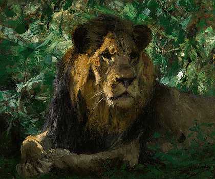 Wilhelm Kuhnert的《休息的狮子》