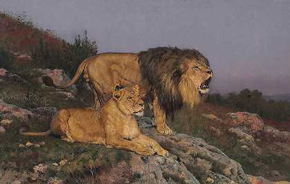 《狮子的领地》作者：Geza Vastagh