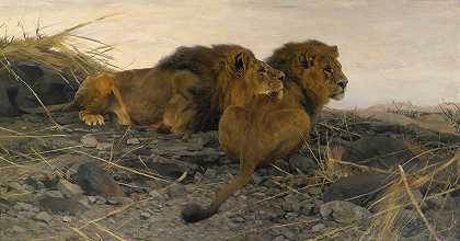 Wilhelm Kuhnert的《守望的狮子》