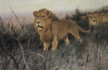 Wilhelm Kuhnert的《燃烧的草原上的狮子》