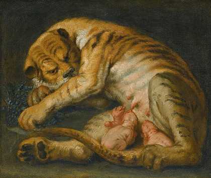 彼得·保罗·鲁本斯（Peter Paul Rubens）的追随者《一只带着幼崽的老虎》