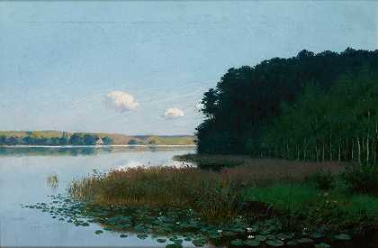 斯坦尼斯瓦夫·维特基维奇的《睡莲湖》