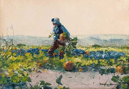 温斯洛·荷马的《为了成为农民的男孩》