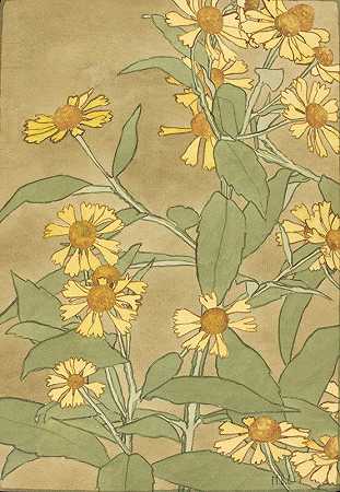Hannah Borger Overbeck的《带橙色中心和黄色花瓣的雏菊》