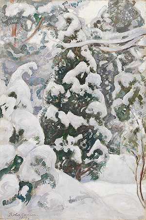 佩卡·哈洛宁的《雪中的杜松树》