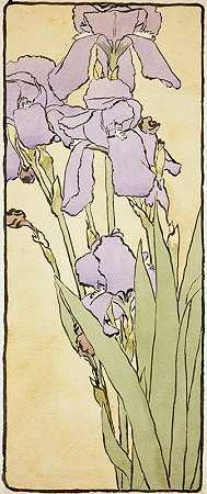 汉娜·博格·奥弗贝克的《鸢尾花》