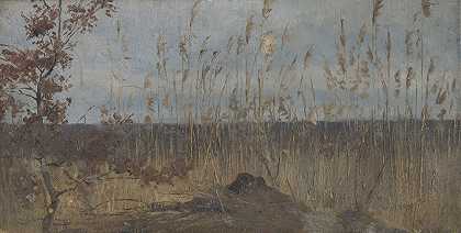 Ladislav Mednyánszky的《沼泽风景研究》