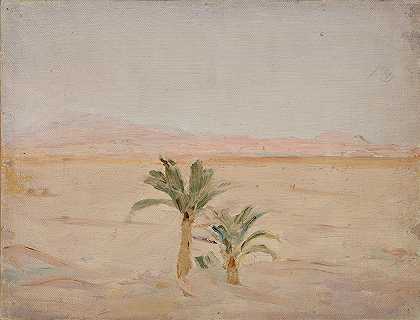 扬·奇·格林斯基的《撒哈拉（沙漠）》