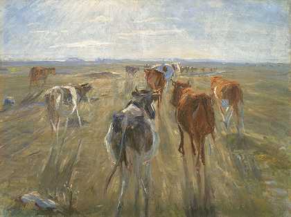 西奥多·菲利普森的《长长的阴影：萨尔索姆岛上的牛》