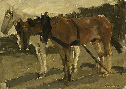 乔治·亨德里克·布莱特纳（George Hendrik Breitner）的《一匹布朗和一匹白马在舍弗宁根》