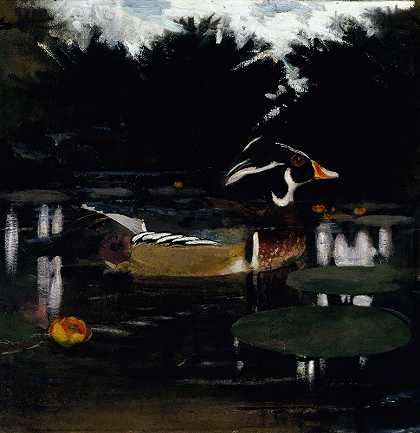 阿博特·汉德森·塞耶（Abbott Handerson Thayer）为《动物王国中的隐藏色彩》一书所作的研究“森林池塘中的雄性木鸭”