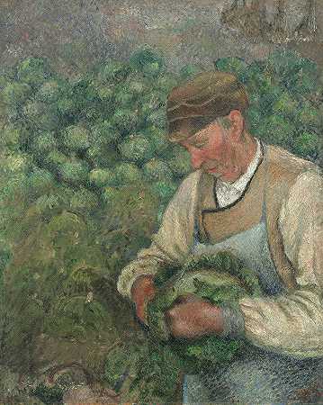 卡米尔·皮萨罗的《园丁-老农民与卷心菜》