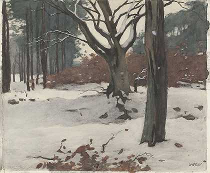 《雪中的树》威廉·威森著