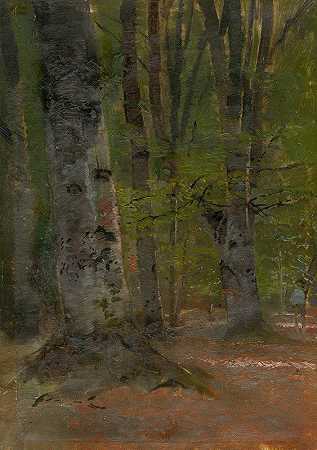 Ladislav Mednyánszky的《森林内部研究》