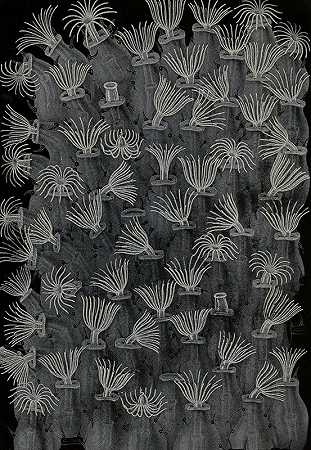“动物-阿尔弗雷德·弗雷多的苔藓