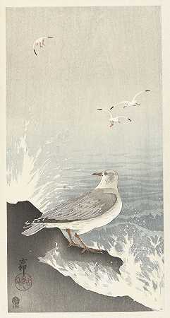 Ohara Koson的《岩石上的海鸥》