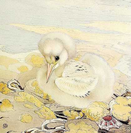 爱德华·朱利叶斯·德莫尔德的《热带鸟》