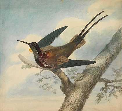 詹姆斯·索尔比的《天堂之鸟》