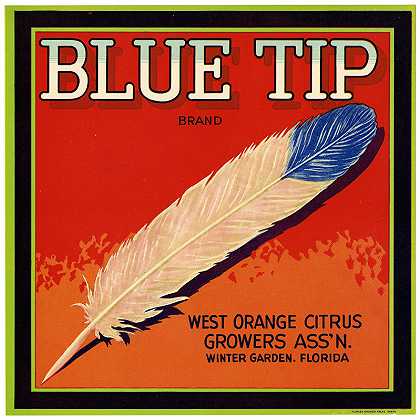 “Blue Tip品牌柑橘标签”