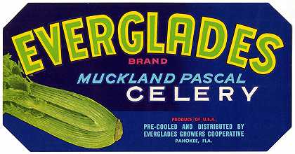 “Everglades品牌Muckland Pascal芹菜标签”