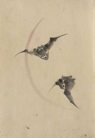 “两只蝙蝠飞过北斋胜冢”